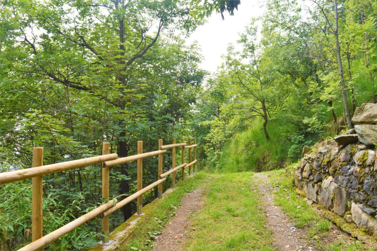 Gold Cave Casa Vacanze Relax Nel Bosco Appartamenti Pessinetto Exterior photo